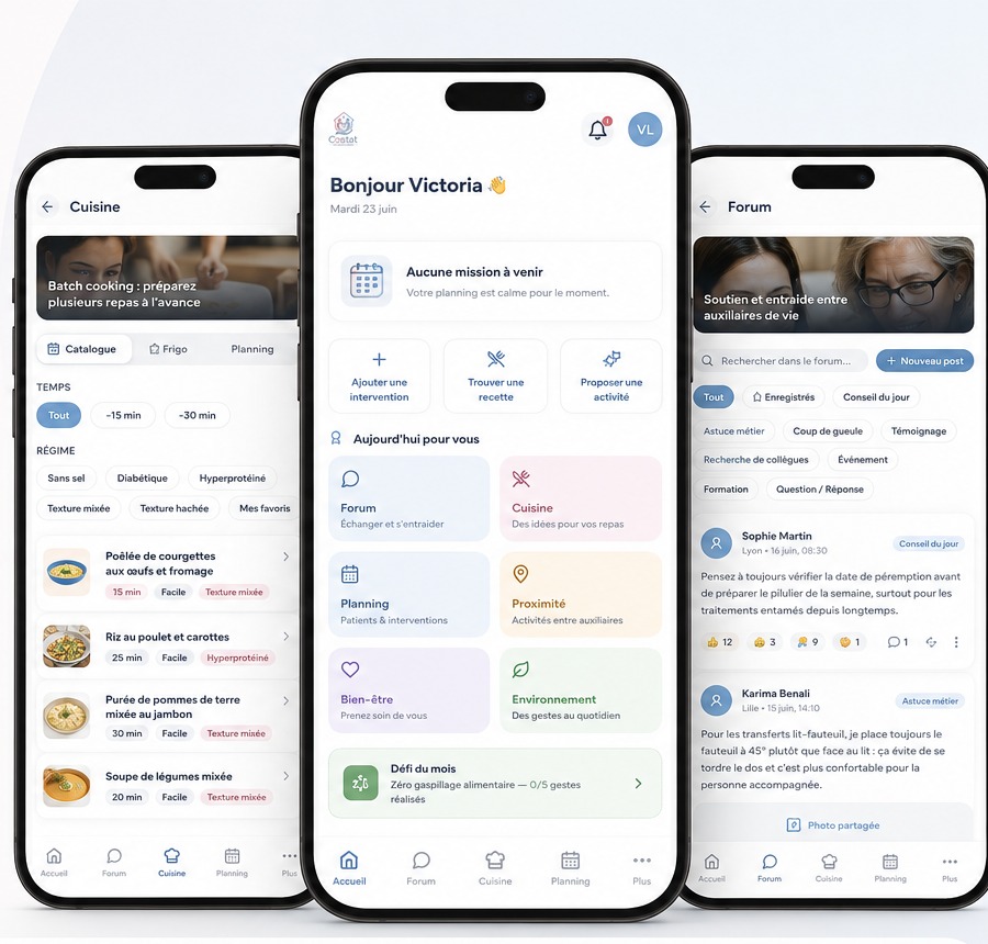 Application Costat, vue d'ensemble